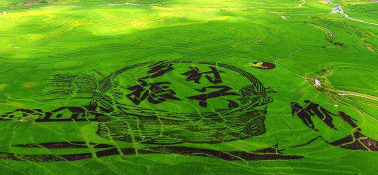 農(nóng)村人居環(huán)境整治